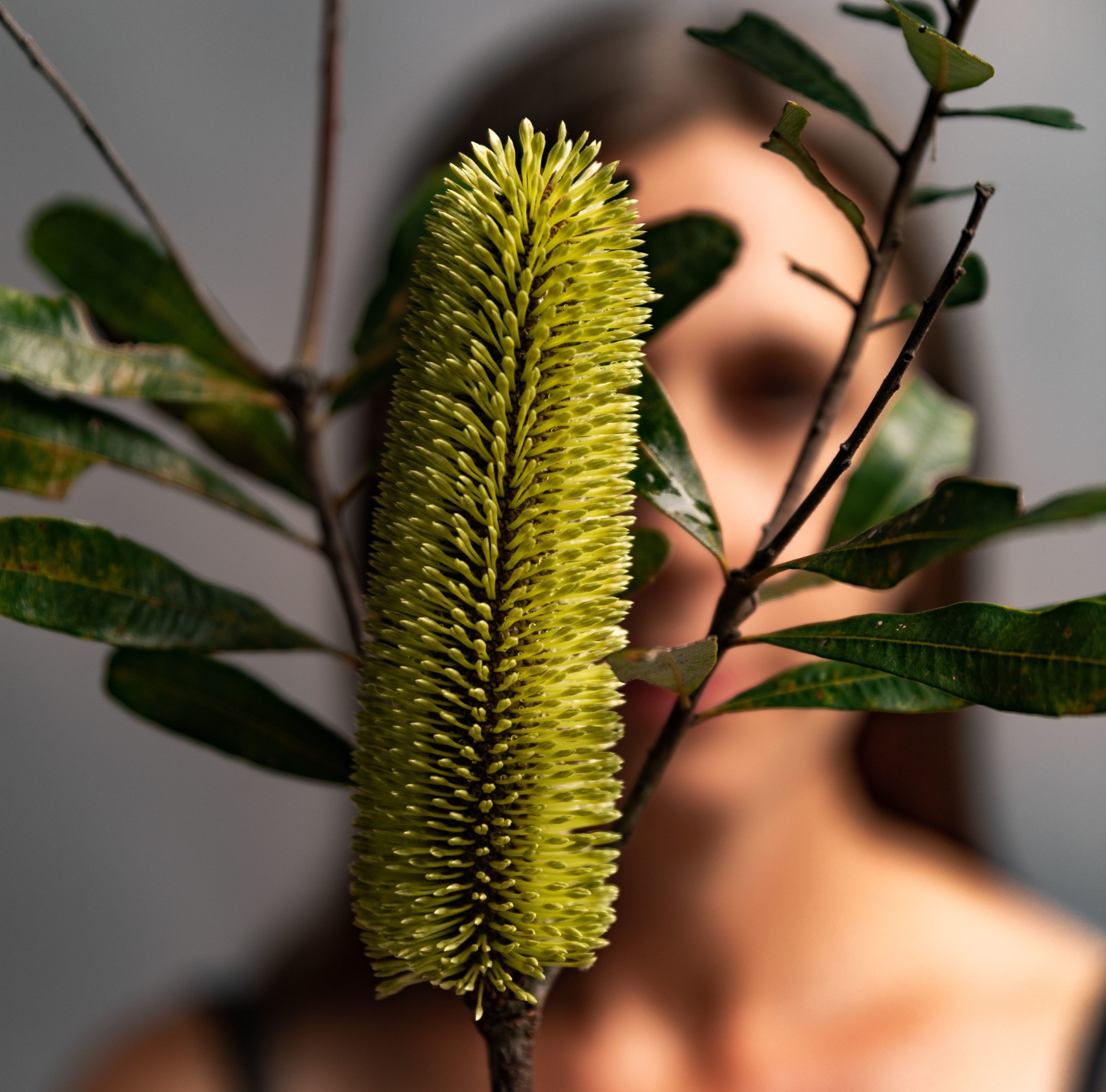 a person just out of focus behind a yellow textured flower