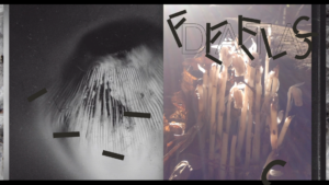 a dyphtych image of Monotropa uniflora on the right and a hazey atmospheric image on the left. Dark marks that look like letters are placed across the two images. Text reads Feels Data