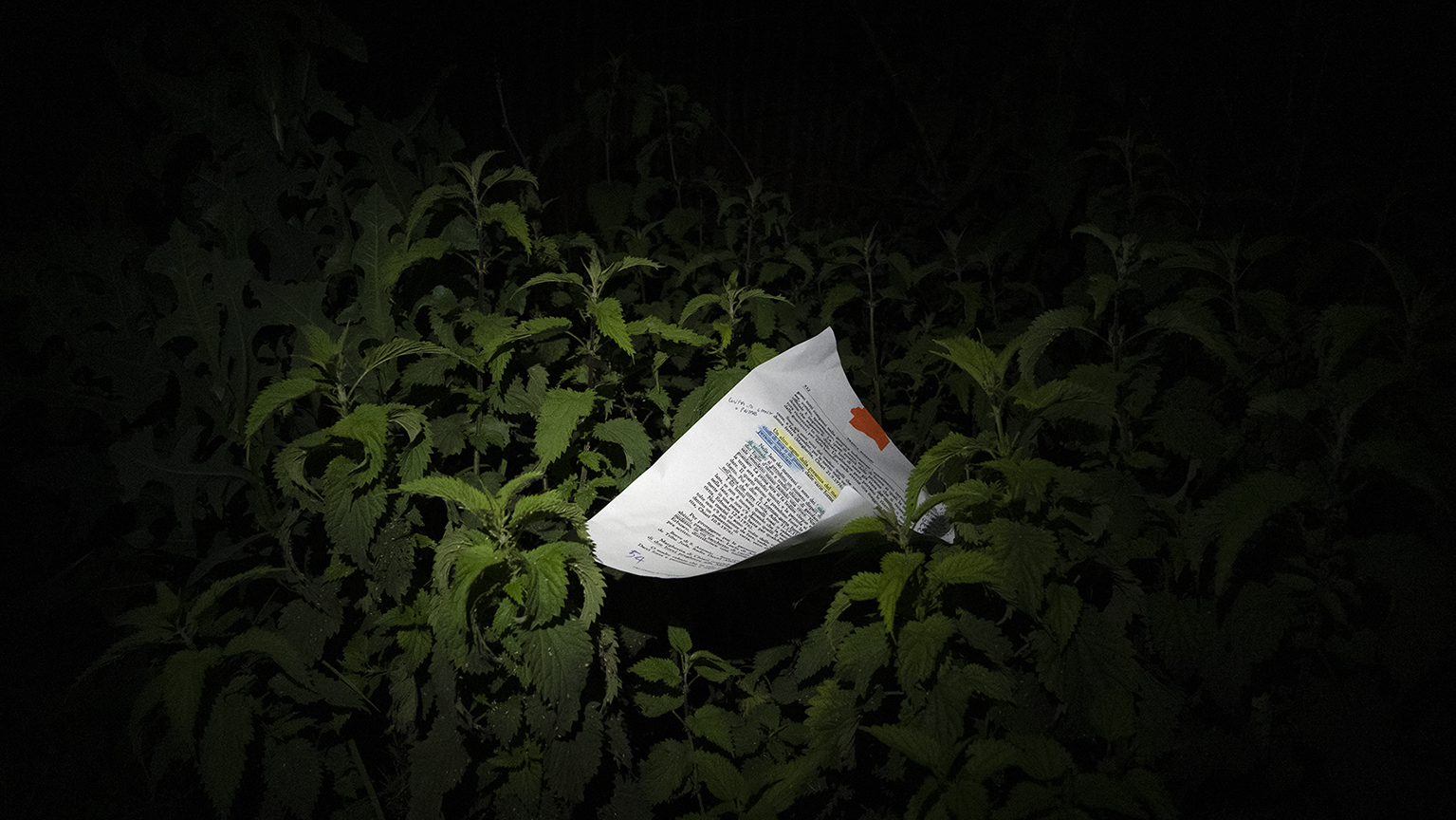 A piece of paper with unredable text printed on it is nestled into a patch of greenery at night
