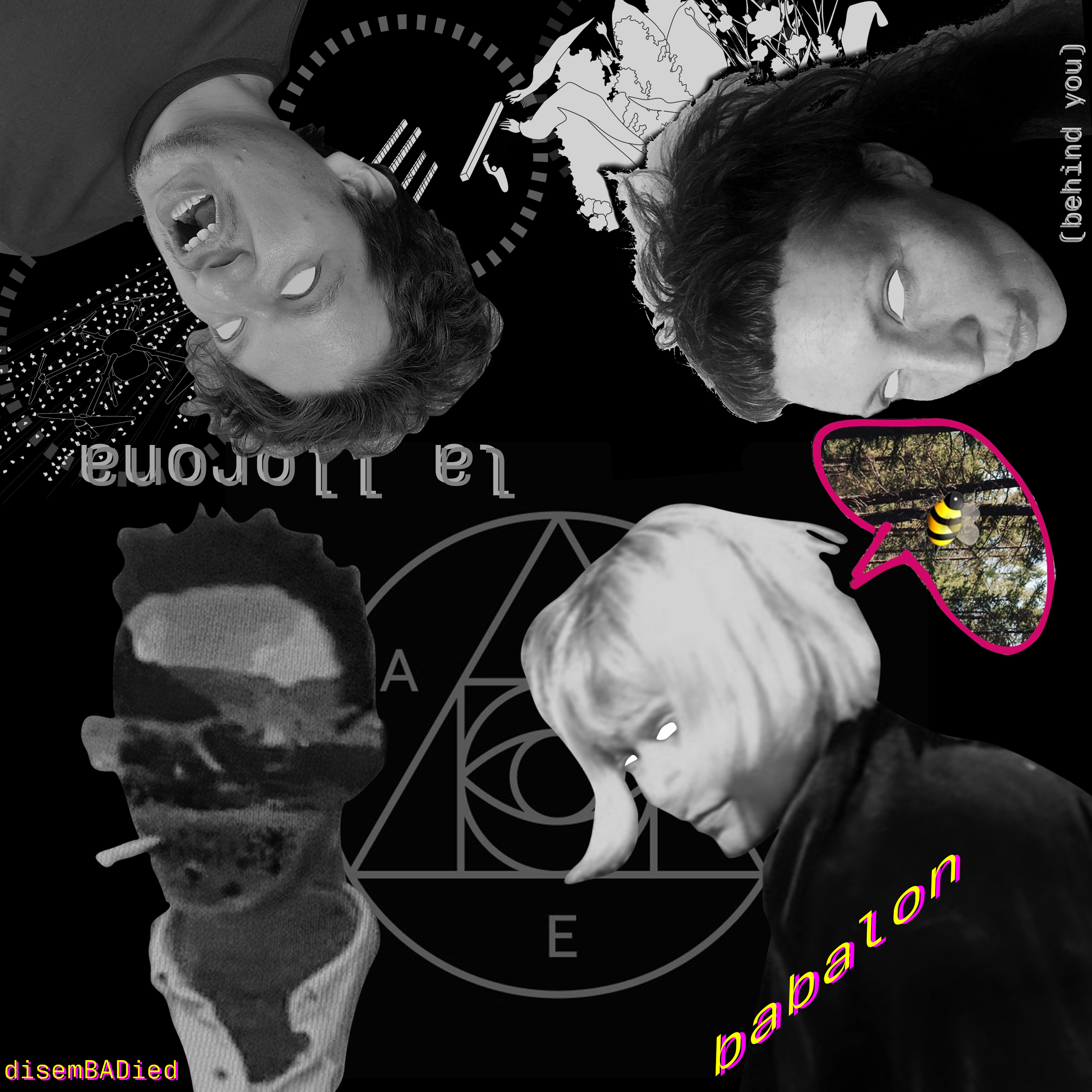 Collage image of the four panelists